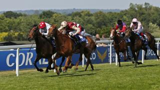 Sandown race finish